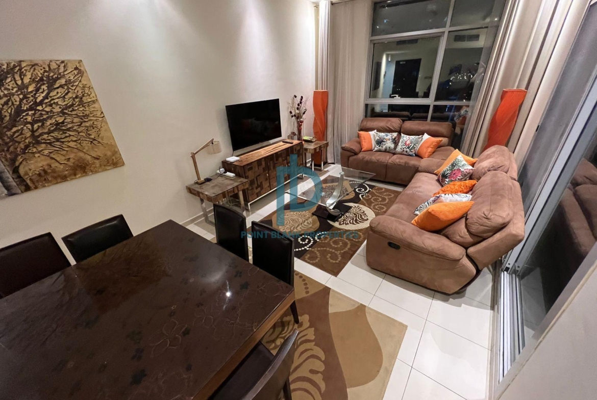 BRAND FULLY FURNISHED LUXURIOUS 2BR APARTMENT